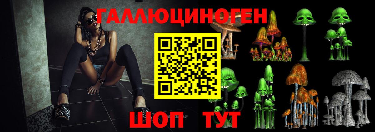 Галлюциногенные грибы Magic Shrooms  Вход с VPN  Галлюциногенные грибы MAGIC MUSHROOMS  Каменск-Уральский 